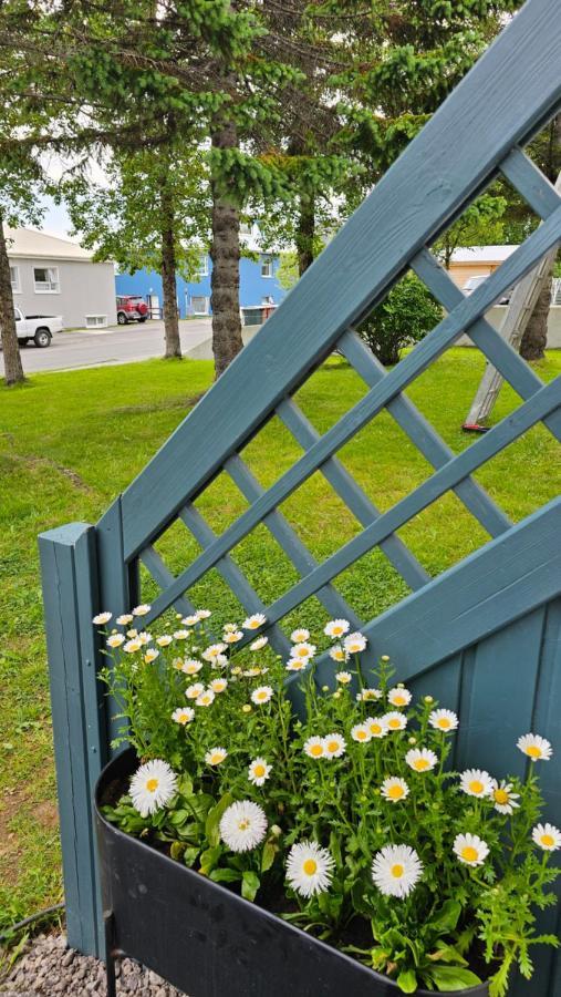 B&B Rooms Husavik 3 Екстериор снимка